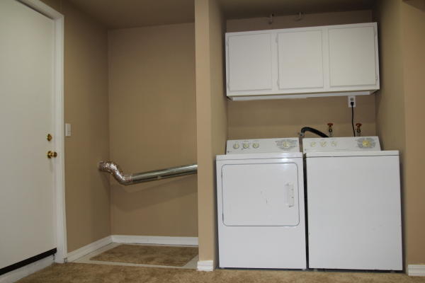 Lower level fireplace